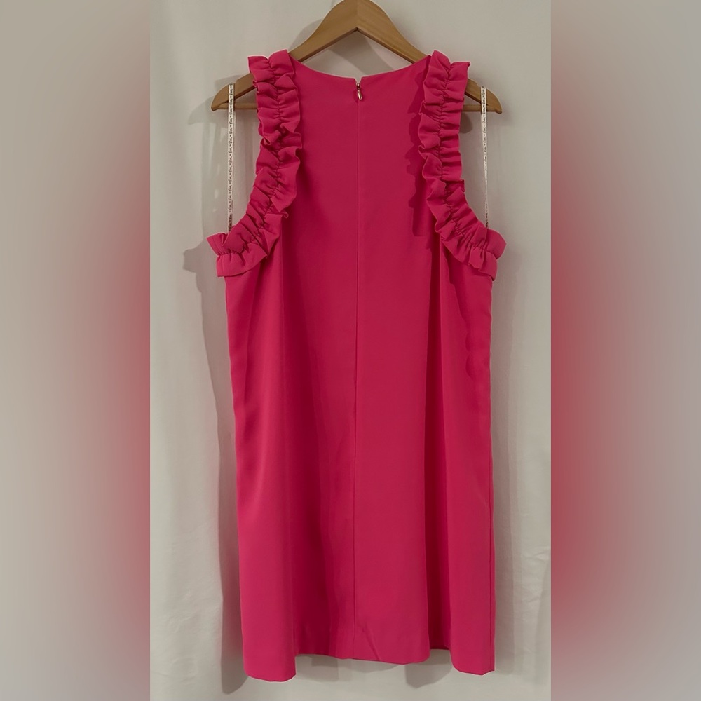 Lilly Pulitzer Roxie Pink Ruffle Shift Dress - Picture 4 of 6